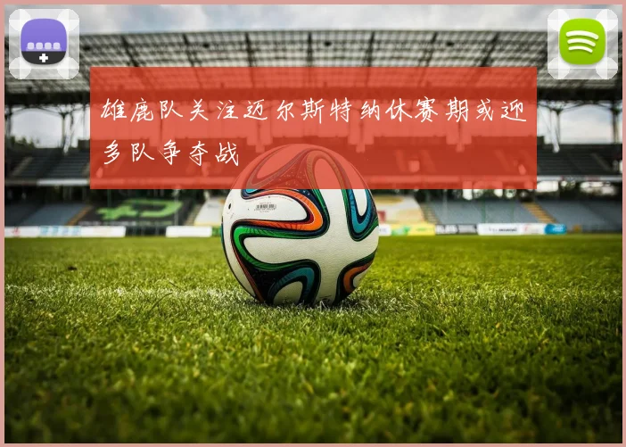 雄鹿队关注迈尔斯特纳休赛期或迎多队争夺战